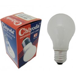 Chiyoda PS60 Frosted Incandescent Bulb E27 100w