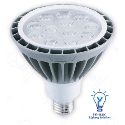 Firefly LED Bulb Dimmable PAR30 E27 12W